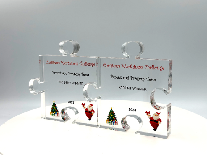 Puzzle Trophy, Jigsaw Award, Stackable, Education / Math Gift, Graduation, Patent Award - Acrylic with Color Prints - Free Customization