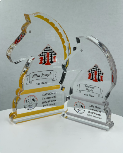 Knight Award, Chess Trophy, Equestrian Award, Stallion Trophy, Tournament Trophy, Tech Gift - Acrylic with Color Prints - Free Customization