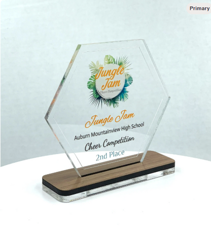 Hexagon Acrylic Trophy with Wood Base / Science Award / STEM Award / Tech Gift - Acrylic with Color Prints - Free Customization