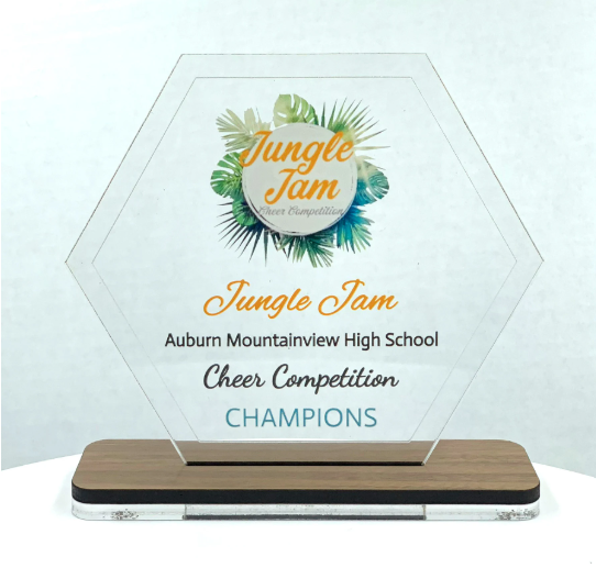 Hexagon Acrylic Trophy with Wood Base / Science Award / STEM Award / Tech Gift - Acrylic with Color Prints - Free Customization