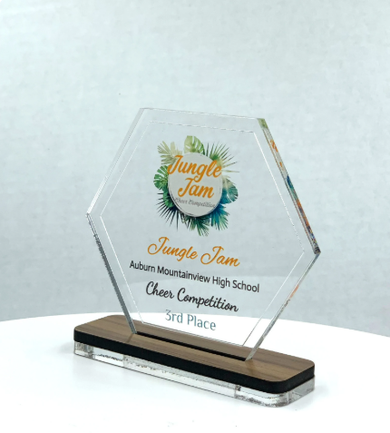 Hexagon Acrylic Trophy with Wood Base / Science Award / STEM Award / Tech Gift - Acrylic with Color Prints - Free Customization