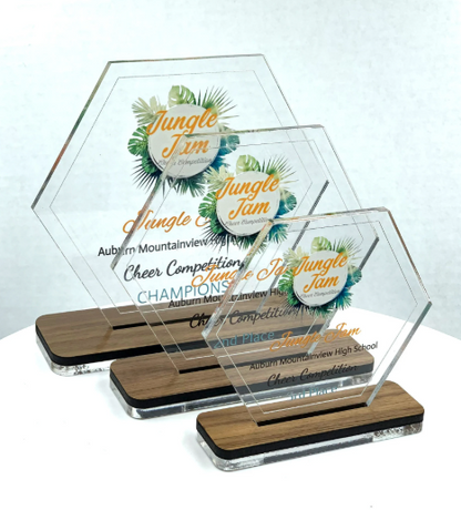 Hexagon Acrylic Trophy with Wood Base / Science Award / STEM Award / Tech Gift - Acrylic with Color Prints - Free Customization