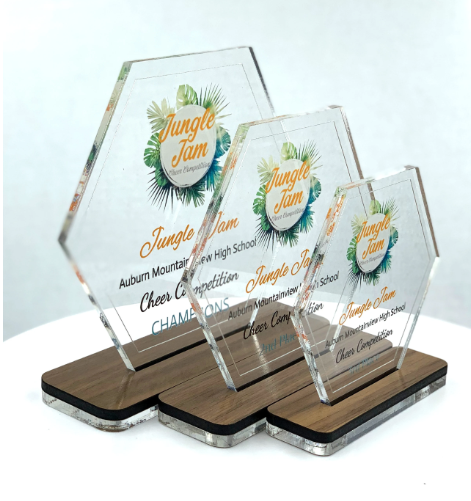 Hexagon Acrylic Trophy with Wood Base / Science Award / STEM Award / Tech Gift - Acrylic with Color Prints - Free Customization