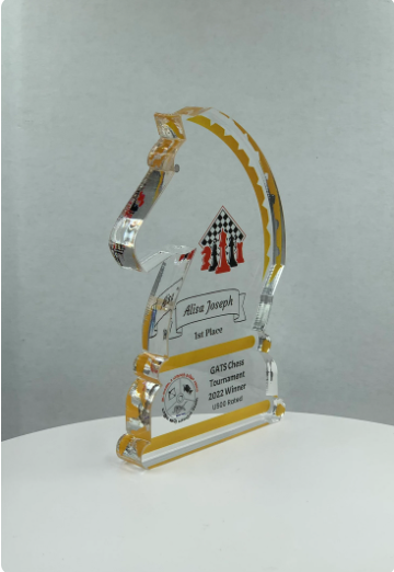Knight Award, Chess Trophy, Equestrian Award, Stallion Trophy, Tournament Trophy, Tech Gift - Acrylic with Color Prints - Free Customization