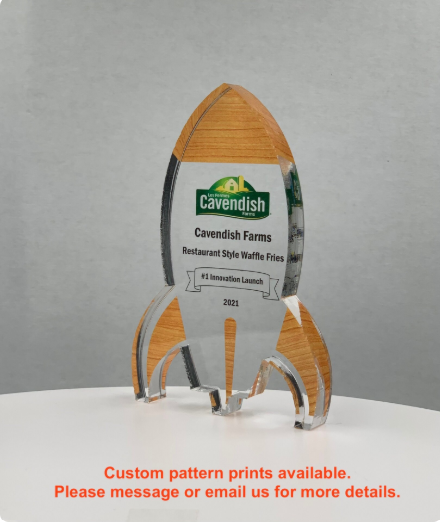 Rocket Trophy / Launch Award / Milestone Trophy / Tech Gift - Acrylic with Color Prints - Free Customization