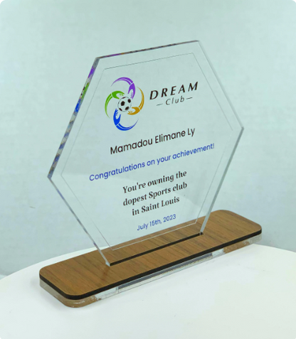 Hexagon Acrylic Trophy with Wood Base / Science Award / STEM Award / Tech Gift - Acrylic with Color Prints - Free Customization