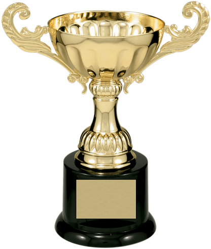 Gold Completed Metal Cup Trophy on Plastic Base/Metal Cups