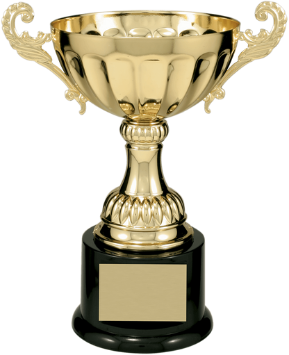 Gold Completed Metal Cup Trophy on Plastic Base/Metal Cups