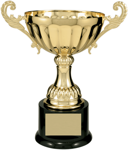 Gold Completed Metal Cup Trophy on Plastic Base/Metal Cups