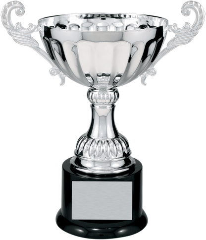 Silver Completed Metal Cup Trophy on Plastic Base/Metal Cups