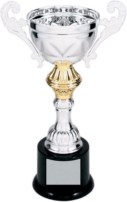 Silver Completed Metal Cup Trophy on Plastic Base/Metal Cups