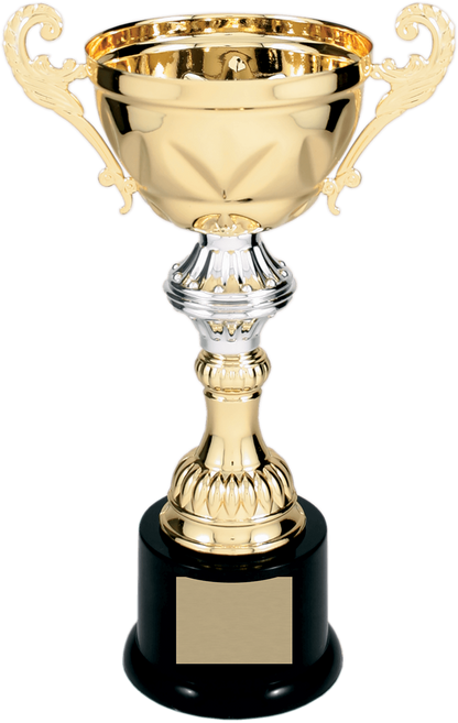 Gold Completed Metal Cup Trophy on Plastic Base/Metal Cups