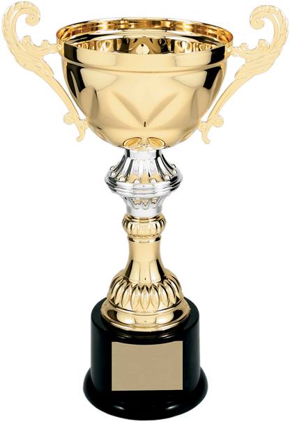 Gold Completed Metal Cup Trophy on Plastic Base/Metal Cups