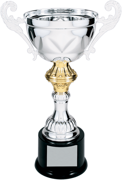 Silver Completed Metal Cup Trophy on Plastic Base/Metal Cups