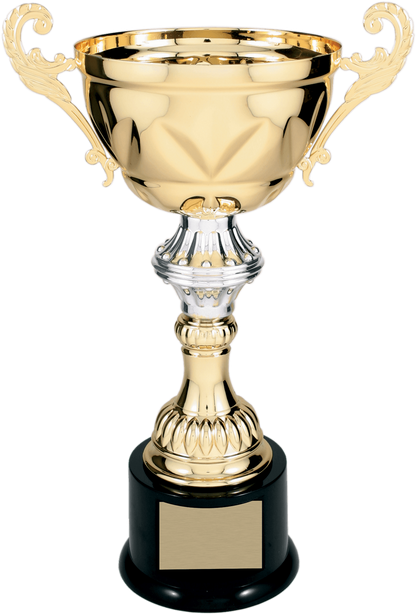 Gold Completed Metal Cup Trophy on Plastic Base/Metal Cups