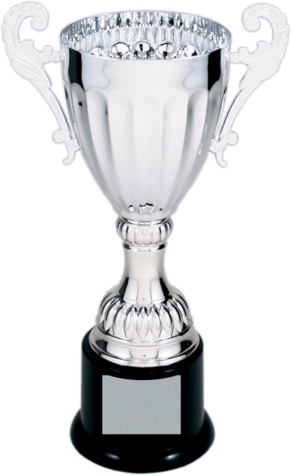 Silver Completed Metal Cup Trophy on Plastic Base/Metal Cups