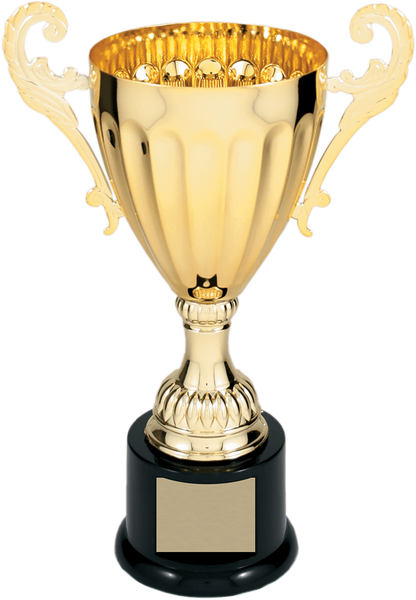 Gold Completed Metal Cup Trophy on Plastic Base/Metal Cups