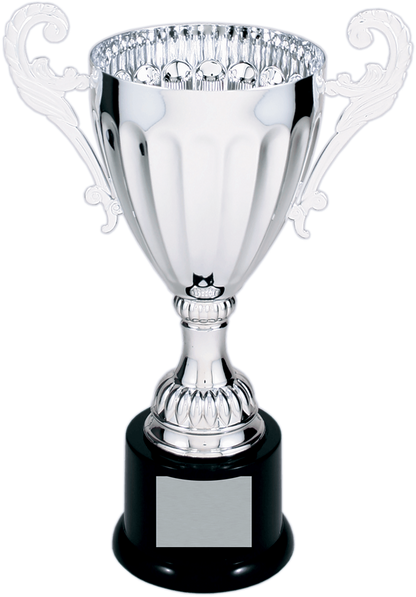 Silver Completed Metal Cup Trophy on Plastic Base/Metal Cups