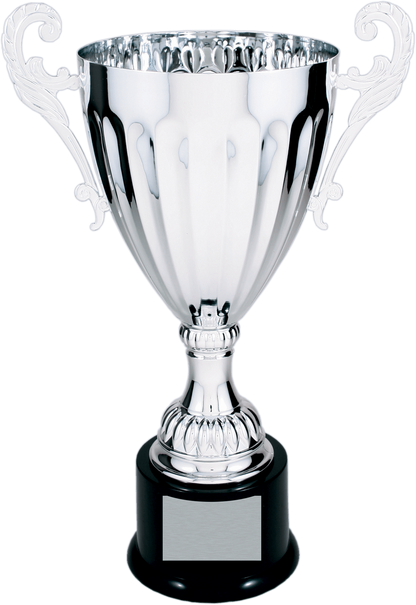 Silver Completed Metal Cup Trophy on Plastic Base/Metal Cups
