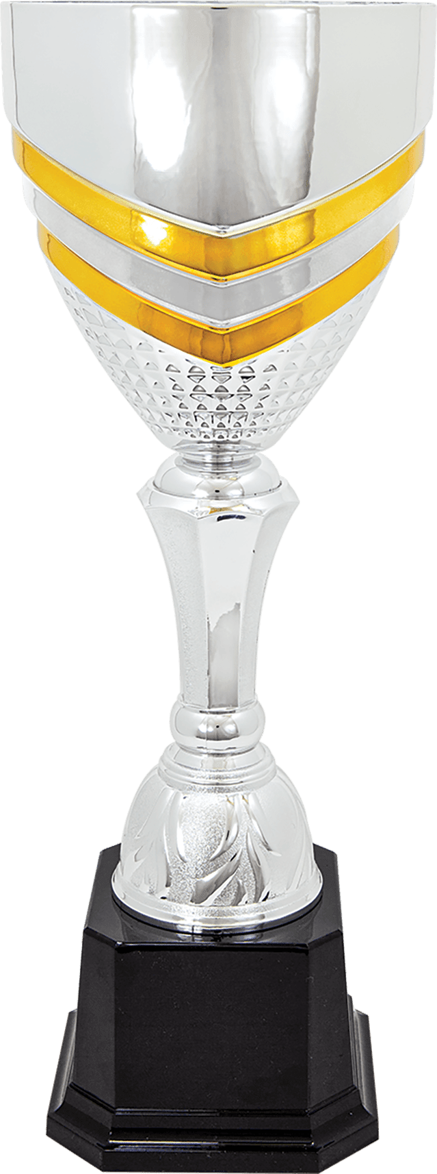 Completed Metal Cup Trophy on Plastic Base/Metal Cups