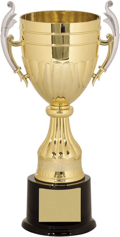 Gold/Silver Plastic Completed Cup Trophy/Plastic Cups