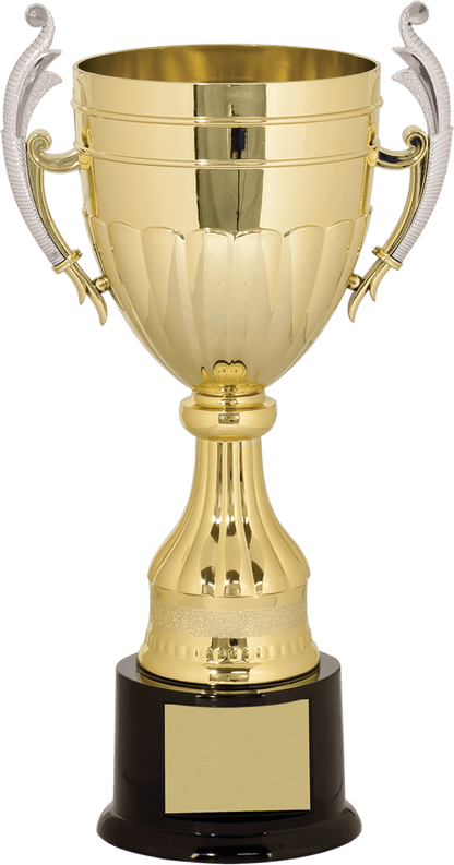 Gold/Silver Plastic Completed Cup Trophy/Plastic Cups