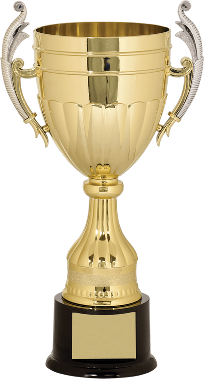 Gold/Silver Plastic Completed Cup Trophy/Plastic Cups