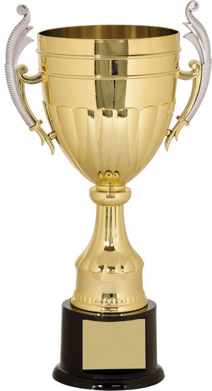 Gold/Silver Plastic Completed Cup Trophy/Plastic Cups