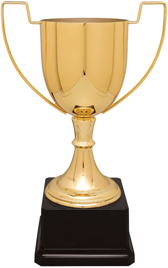 Gold Completed Zinc Cup Trophy on Plastic Base/Metal Cups