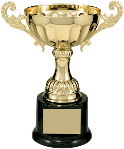 Gold Completed Metal Cup Trophy on Plastic Base/Metal Cups
