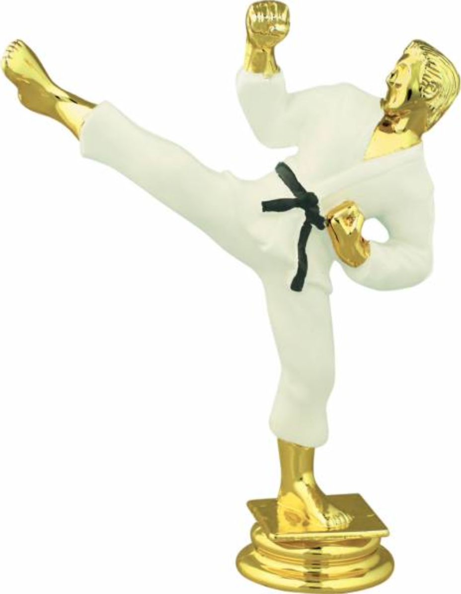 Black Belt High Kick Award/Taekwondo Trophy/Karate/Taekwondo Championship Events/Martial Arts Competitions/Dojo &amp; Academy Awards//Black Belt Promotion Ceremonies/Student Recognition Programs/Sports Tournament Awards/Youth Martial Arts Competitions