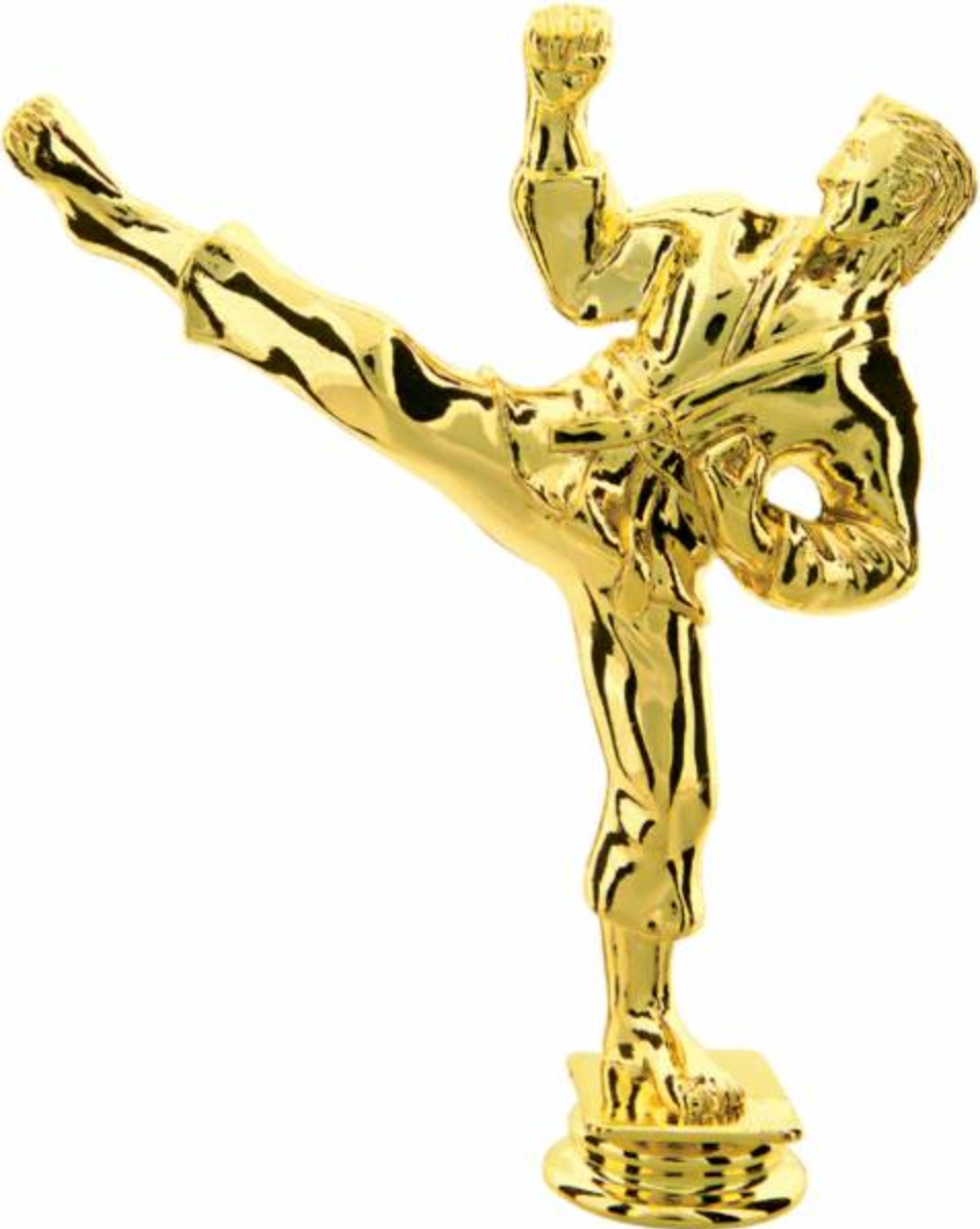 Martial Arts Action Kick Trophy/Taekwondo Trophy/Karate/Taekwondo Championship Events/Martial Arts Competitions/Dojo &amp; Academy Awards//Black Belt Promotion Ceremonies/Student Recognition Programs/Sports Tournament Awards/Youth Martial Arts Competitions