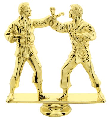 Taekwondo trophies