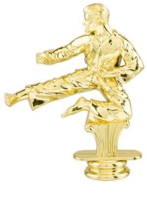 Taekwondo Action Kick Trophy/Taekwondo Trophy/Karate/Taekwondo Championship Events/Martial Arts Competitions/Dojo &amp; Academy Awards//Black Belt Promotion Ceremonies/Student Recognition Programs/Sports Tournament Awards/Youth Martial Arts Competitions