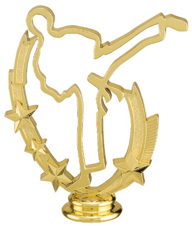 Three Star Backdrop Gold Insert Taekwondo Trophy/Taekwondo Trophy/Karate/Taekwondo Championship Events/Martial Arts Competitions/Dojo &amp; Academy Awards//Black Belt Promotion Ceremonies/Student Recognition Programs/Sports Tournament Awards